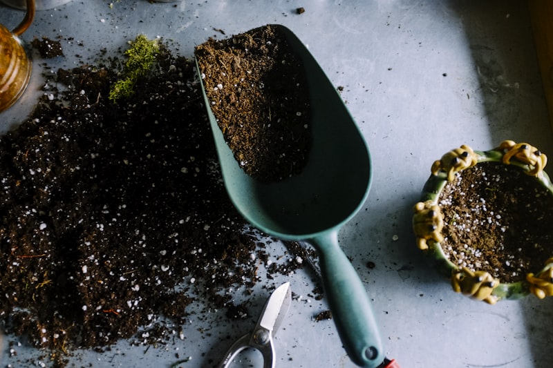 Close-up of carefully planned garden planting