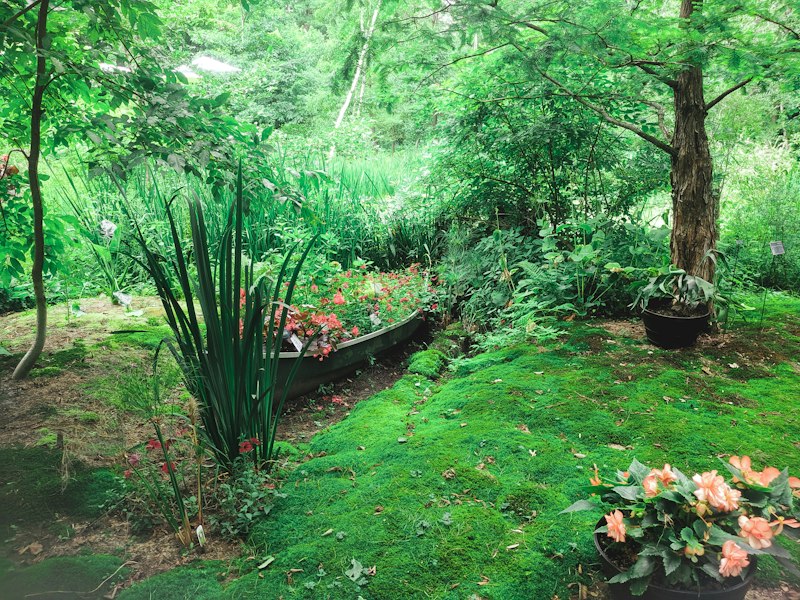 Inviting garden area